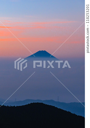 從金峰山看到的富士山和日出時的雲海 從金峰山看到的富士山和日出時的雲海 118253201