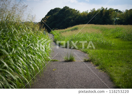 Country walking path Country walking path 118253220