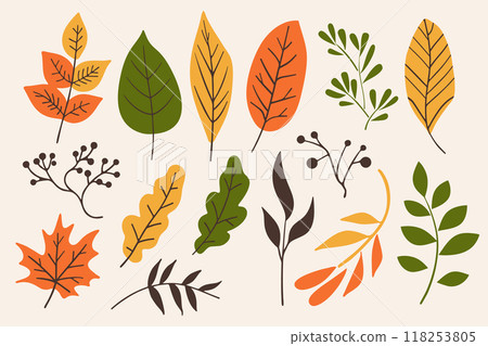 Set of different autumn leaves and twigs on doodle style isolated on white background. Minimal hand drawn design element collection 118253805