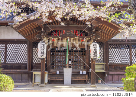 法殿寺的花開（京都市左京區淨土寺新如町） 118253814