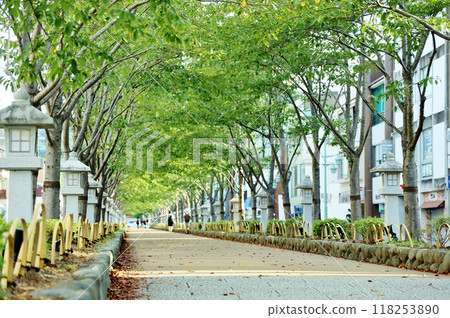 新綠耀眼的Dankatsu 118253890