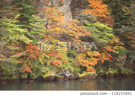 十和田湖美麗的秋葉 118253891