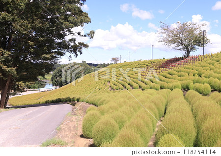 Perfect day for a drive at Tokyo German Village 118254114