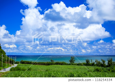 Okinawa drive in summer 118254334