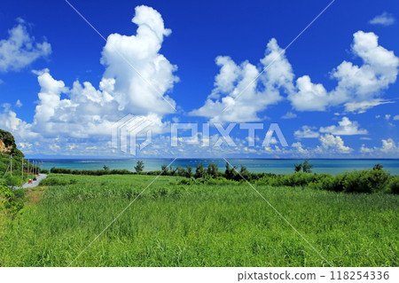 Okinawa drive in summer 118254336