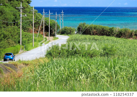 夏季沖繩開車 118254337