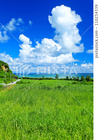 Okinawa drive in summer 118254339