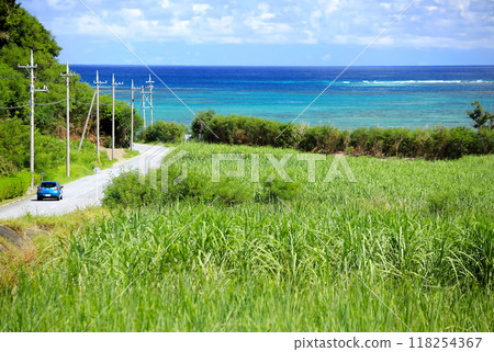 Okinawa drive in summer 118254367