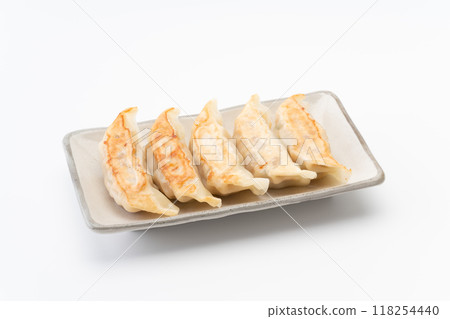 Fried dumplings on a plate Fried dumplings on a plate 118254440