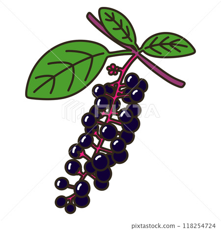 山區鄉房 118254724