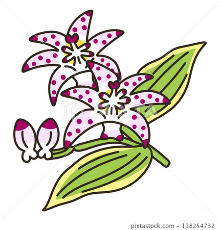 布穀鳥 布穀鳥 118254732