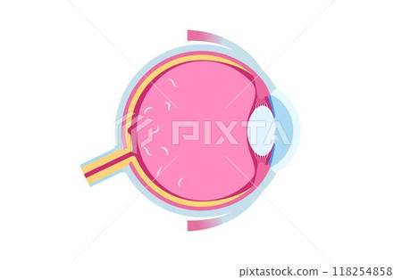 Myodesopsia eye floaters 118254858