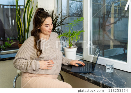 Pregnant Woman Working on Laptop by the Window 118255354