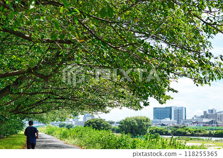 川崎市：夏季的新川崎站塔樓公寓大樓，橫跨多摩川 118255365