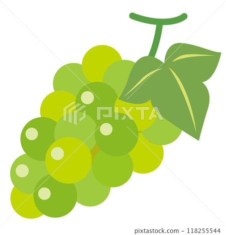 麝香葡萄 巨峰果 麝香葡萄 巨峰果 118255544