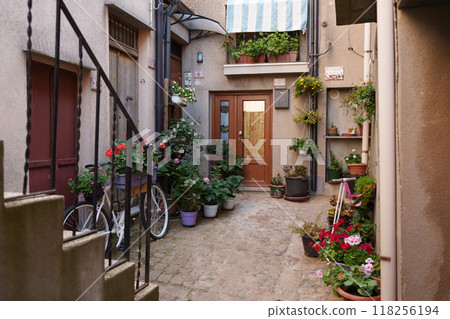 A Charming Courtyard Featuring Lush Plants, Colorful Flowers, and a Bicycle at the Center A Charming Courtyard Featuring Lush Plants, Colorful Flowers, and a Bicycle at the Center 118256194