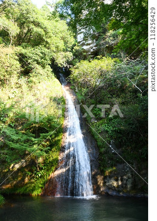 [阿南市、深瀨八幡神社、瀑布形狀像馬尾巴的「宇野瀑布」] 118256429