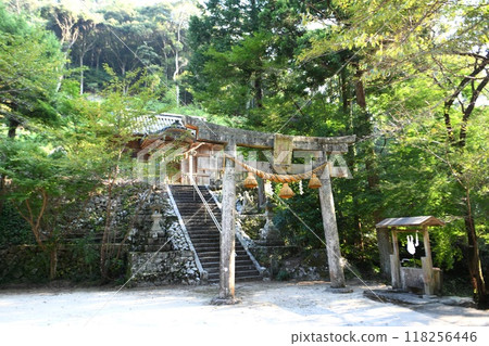 [The torii gate and worship hall on the grounds of Fukase Hachiman Shrine in Anan City] 118256446