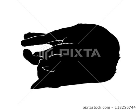 躺著的貓的剪影插圖 118256744