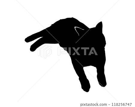 Silhouette illustration of a cat lying down facing forward 118256747