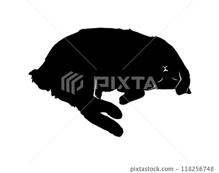 Lying cat silhouette illustration 118256748