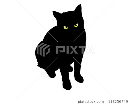 Silhouette illustration of a cat sitting facing forward (with eyes) 118256749