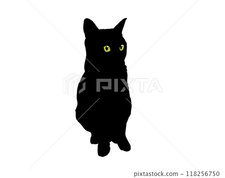 Silhouette illustration of a cat sitting diagonally facing forward (with eyes) Silhouette illustration of a cat sitting diagonally facing forward (with eyes) 118256750