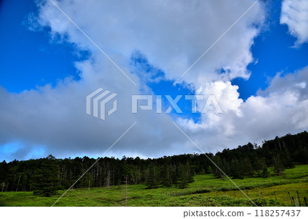 [長野縣]國道299號童話之路八岳風景 118257437