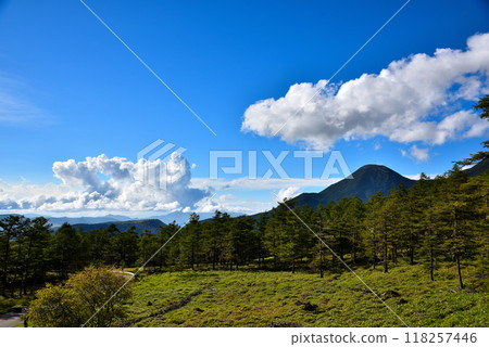 Nagano Prefecture: National Route 299, Fairy Tale Highway, view from Hinakoba Observatory 118257446