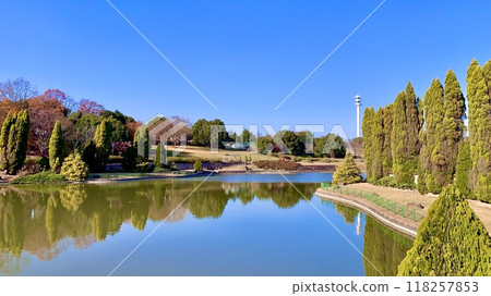 藍天紅葉的水鏡〈愛知縣健康之森公園（三三廣場/豬內之池）/愛知縣大府市〉 118257853