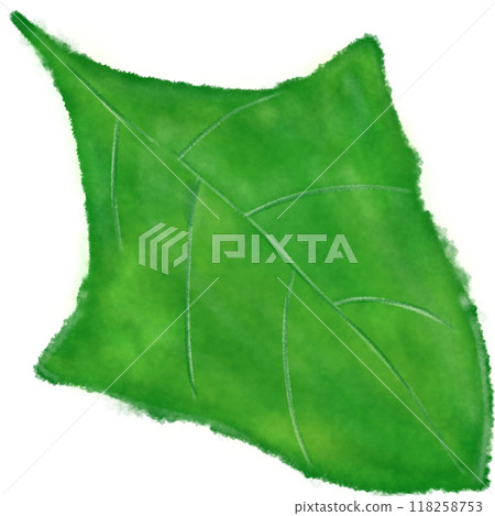 Green leaves  118258753