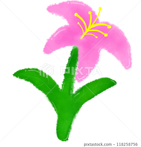 Beautiful lily flowers Beautiful lily flowers 118258756