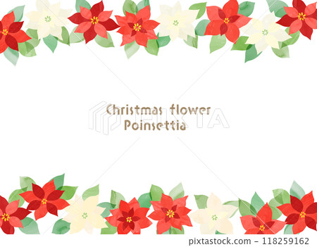 Christmas flower, poinsettia frame illustration material 118259162