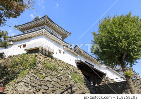 Wakayama Castle in autumn, Ninomon Gate and turret, Wakayama City, Wakayama Prefecture 118259192