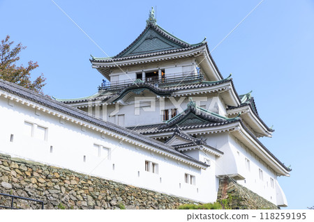 Wakayama Castle in Autumn, Wakayama City, Wakayama Prefecture 118259195