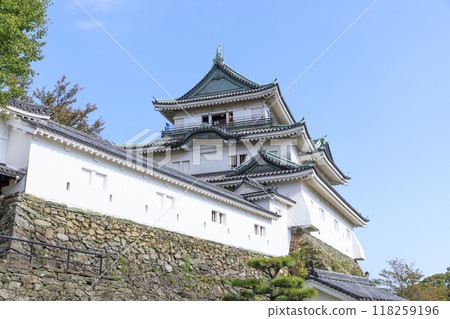Wakayama Castle in Autumn, Wakayama City, Wakayama Prefecture Wakayama Castle in Autumn, Wakayama City, Wakayama Prefecture 118259196