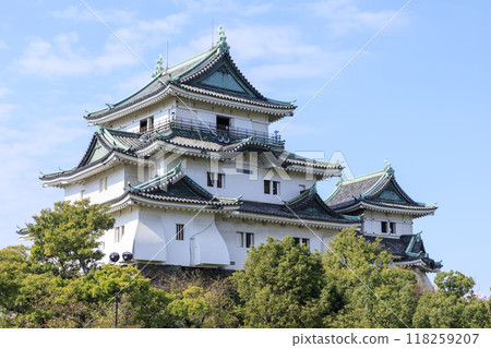 Wakayama Castle in Autumn, Wakayama City, Wakayama Prefecture 118259207