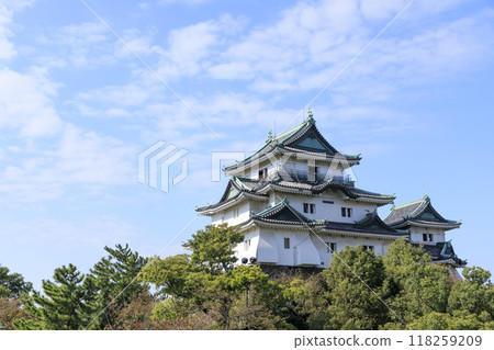 和歌山縣和歌山市秋天的和歌山城 118259209