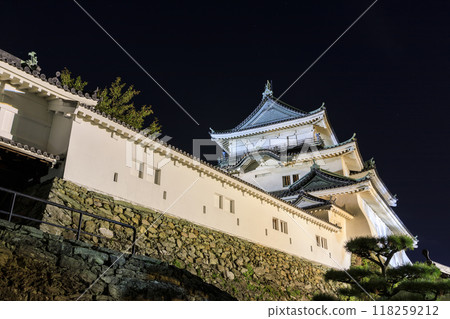 和歌山縣和歌山市和歌山城的夜晚 118259212