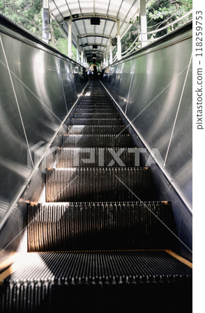 Escalator in nature, rising surrounded by greenery Escalator in nature, rising surrounded by greenery 118259753