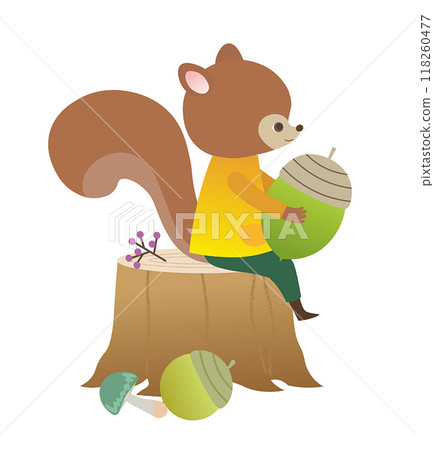 Cute little squirrel 118260477