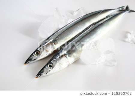 2 raw saury on white background 118260762