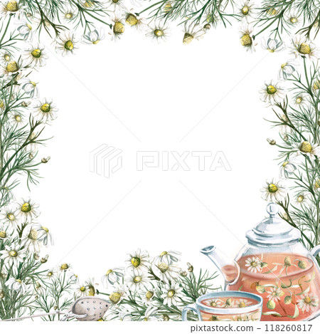 Transparent teapot with cup of chamomile tea in frame of flowers. Isolated watercolor illustration for design of herbal infusions, teas, menu of cafes and restaurants 118260817