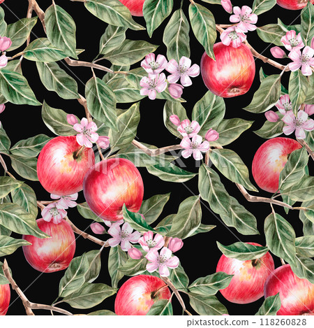 Seamless pattern on black background with flowers on branches and red apples. Isolated watercolor illustration in realistic style for farm natural products design, harvest, fabric printing Seamless pattern on black background with flowers on branches and red apples. Isolated watercolor illustration in realistic style for farm natural products design, harvest, fabric printing 118260828