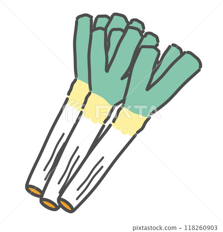 Green onion illustration Green onion illustration 118260903