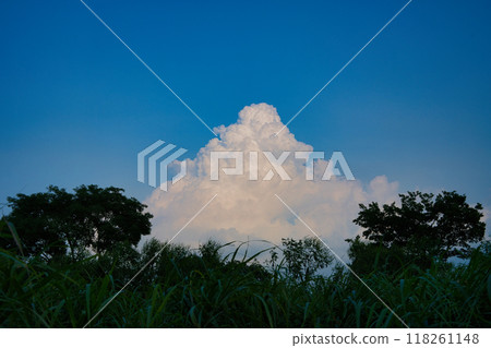 雲朵高聳,綠意蔓延 雲朵高聳,綠意蔓延 118261148