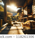 Shiba Inu taking a nap on the veranda 118261306