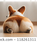 Back of Corgi 118261311