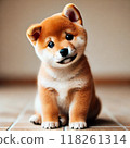 A Shiba Inu child tilting his head 118261314