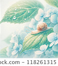 Snail of the rain 118261315